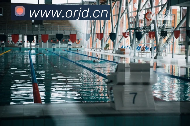 App Interface Preview