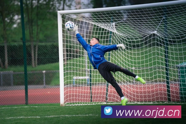 开云在线登录入口官网APP 封面图